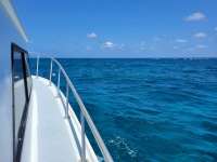 Great day of scuba diving in Key Largo with Rainbow Reef on north star santana 2021 04 28 r11030 1