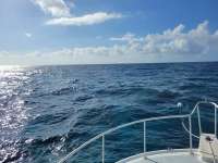Great day of scuba diving in Key Largo with Rainbow Reef on north star santana 2021 04 30 r11036 1