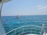 Great day of scuba diving in Key Largo with Rainbow Reef on permit ledges tropical legend 2021 04 25 r11000 1