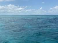 Great day of scuba diving in Key Largo with Rainbow Reef on pickles reef santana 2021 04 23 r10991 1