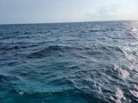 Great day of scuba diving in Key Largo with Rainbow Reef on pickles reef tropical adventure 2021 04 23 r10989 1