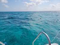 Great day of scuba diving in Key Largo with Rainbow Reef on sand island tropical adventure 2021 04 17 r10937 1