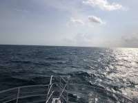 Great day of scuba diving in Key Largo with Rainbow Reef on snapper ledge tropical legend 2021 04 23 r10988 1