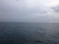 Great day of scuba diving in Key Largo with Rainbow Reef on snapper ledge tropical serenity 2021 04 20 r10964 1