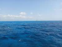 Great day of scuba diving in Key Largo with Rainbow Reef on spanish anchor tropical legend 2021 04 17 r10941 1