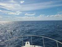 Great day of scuba diving in Key Largo with Rainbow Reef on spiegel grove tropical destiny 2021 04 07 r10880 1