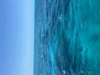 Great day of scuba diving in Key Largo with Rainbow Reef on the horseshoe tropical legend 2021 04 14 r10918 1