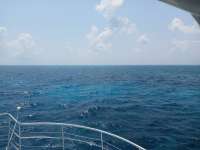 Great day of scuba diving in Key Largo with Rainbow Reef on the horseshoe tropical odyssey 2021 04 25 r11002 1