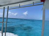 Great day of scuba diving in Key Largo with Rainbow Reef on uscgc duane tropical destiny 2021 04 17 r10942 1