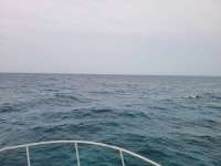 Great day of scuba diving in Key Largo with Rainbow Reef on uscgc duane tropical destiny 2021 04 20 r10968 1