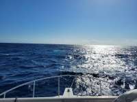 Great day of scuba diving in Key Largo with Rainbow Reef on uscgc duane tropical destiny 2021 04 27 r11020 1
