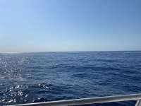 Great day of scuba diving in Key Largo with Rainbow Reef on uscgc duane tropical odyssey 2021 04 16 r10933 1