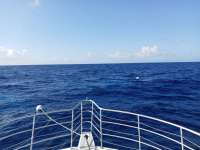 Great day of scuba diving in Key Largo with Rainbow Reef on uscgc duane tropical odyssey 2021 04 30 r11037 1
