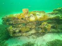 Great day of scuba diving in Key Largo with Rainbow Reef on benwood wreck tropical adventure 2021 08 01 r11478 1