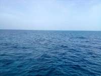 Great day of scuba diving in Key Largo with Rainbow Reef on benwood wreck tropical odyssey 2021 08 22 r11544 1