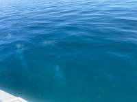 Great day of scuba diving in Key Largo with Rainbow Reef on benwood wreck tropical serenity 2021 08 31 r11557 1
