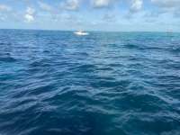 Great day of scuba diving in Key Largo with Rainbow Reef on eagle ray alley tropical serenity 2021 08 16 r11522 1