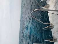 Great day of scuba diving in Key Largo with Rainbow Reef on eagle ray alley tropical serenity 2021 08 22 r11543 1