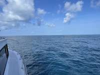 Great day of scuba diving in Key Largo with Rainbow Reef on eagle ray alley tropical serenity 2021 08 30 r11555 1