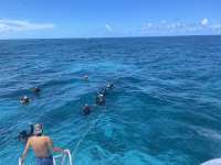 Great day of scuba diving in Key Largo with Rainbow Reef on elbow reef tropical destiny 2021 08 05 r11501 2