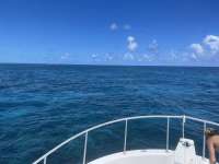 Great day of scuba diving in Key Largo with Rainbow Reef on elbow reef tropical destiny 2021 08 05 r11501 3