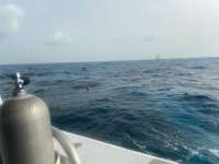 Great day of scuba diving in Key Largo with Rainbow Reef on fire coral cave tropical adventure 2021 08 24 r11548 1
