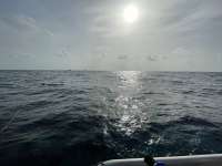 Great day of scuba diving in Key Largo with Rainbow Reef on fire coral cave tropical destiny 2021 08 23 r11547 2