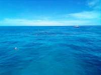 Great day of scuba diving in Key Largo with Rainbow Reef on french reef tropical odyssey 2021 08 20 r11535 1