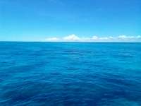Great day of scuba diving in Key Largo with Rainbow Reef on french reef tropical odyssey 2021 08 20 r11535 2