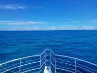 Great day of scuba diving in Key Largo with Rainbow Reef on french reef tropical odyssey 2021 08 20 r11535 3