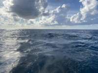 Great day of scuba diving in Key Largo with Rainbow Reef on french reef tropical serenity 2021 08 10 r11515 1