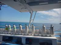Great day of scuba diving in Key Largo with Rainbow Reef on french reef tropical serenity 2021 08 21 r11538 1