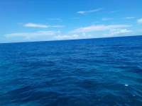 Great day of scuba diving in Key Largo with Rainbow Reef on french twist tropical odyssey 2021 08 08 r11513 2