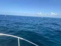 Great day of scuba diving in Key Largo with Rainbow Reef on molasses reef tropical serenity 2021 08 01 r11477 1