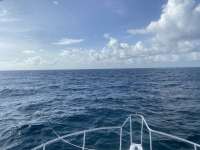 Great day of scuba diving in Key Largo with Rainbow Reef on molasses reef tropical serenity 2021 08 29 r11550 1