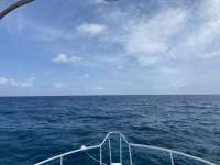 Great day of scuba diving in Key Largo with Rainbow Reef on molasses reef tropical serenity 2021 08 29 r11553 1