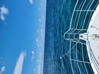 Great day of scuba diving in Key Largo with Rainbow Reef on north star tropical legend 2021 08 09 r11514 1