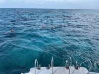 Great day of scuba diving in Key Largo with Rainbow Reef on sand island tropical destiny 2021 08 03 r11491 2