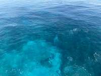 Great day of scuba diving in Key Largo with Rainbow Reef on snapper ledge tropical serenity 2021 08 31 r11556 1