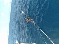 Great day of scuba diving in Key Largo with Rainbow Reef on spiegel grove tropical odyssey 2021 08 01 r11481 1