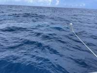 Great day of scuba diving in Key Largo with Rainbow Reef on uscgc duane tropical destiny 2021 08 07 r11509 1