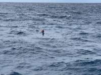 Great day of scuba diving in Key Largo with Rainbow Reef on uscgc duane tropical destiny 2021 08 07 r11509 3