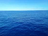 Great day of scuba diving in Key Largo with Rainbow Reef on uscgc duane tropical odyssey 2021 08 20 r11532 1