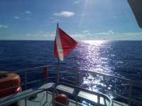Great day of scuba diving in Key Largo with Rainbow Reef on uscgc duane tropical odyssey 2021 08 20 r11532 3
