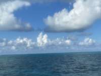 Great day of scuba diving in Key Largo with Rainbow Reef on christ statue tropical adventure 2021 12 12 r11965 1