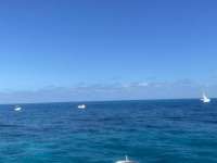 Great day of scuba diving in Key Largo with Rainbow Reef on christ statue tropical adventure 2021 12 26 r11999 1