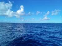 Great day of scuba diving in Key Largo with Rainbow Reef on drift french tropical explorer 2021 12 12 r11962 1