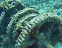 Great day of scuba diving in Key Largo with Rainbow Reef on eagle ray alley tropical serenity 2021 12 17 r11975 2