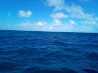 Great day of scuba diving in Key Largo with Rainbow Reef on french reef tropical adventure 2021 12 15 r11971 2