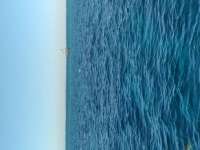 Great day of scuba diving in Key Largo with Rainbow Reef on molasses reef tropical legend 2021 12 07 r11952 1